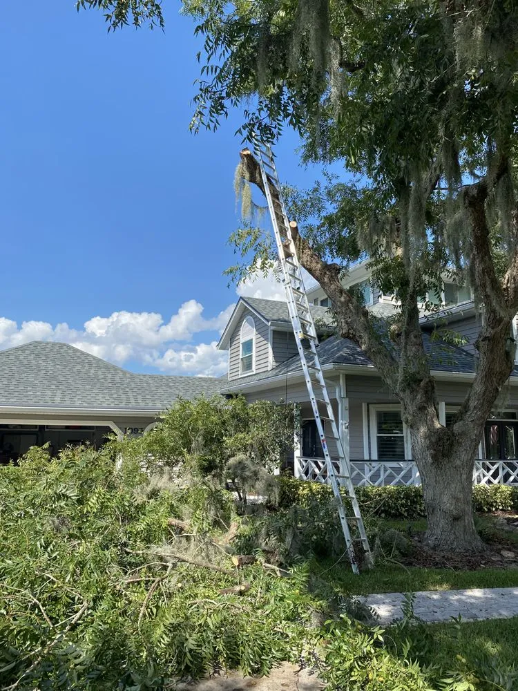 Top-rated lawn mowing service experts serving Davenport, FL - Jr Professional Landscaping And Tree Service