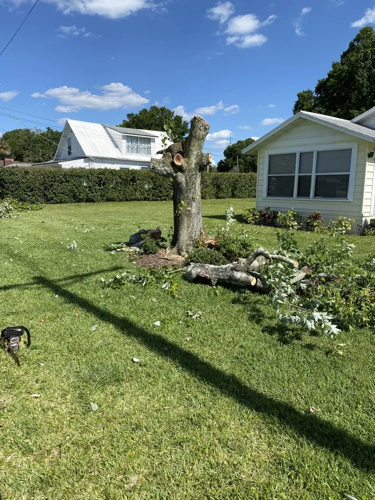 Expert landscape installation for year-round maintenance in Davenport, FL by Jr Professional Landscaping And Tree Service