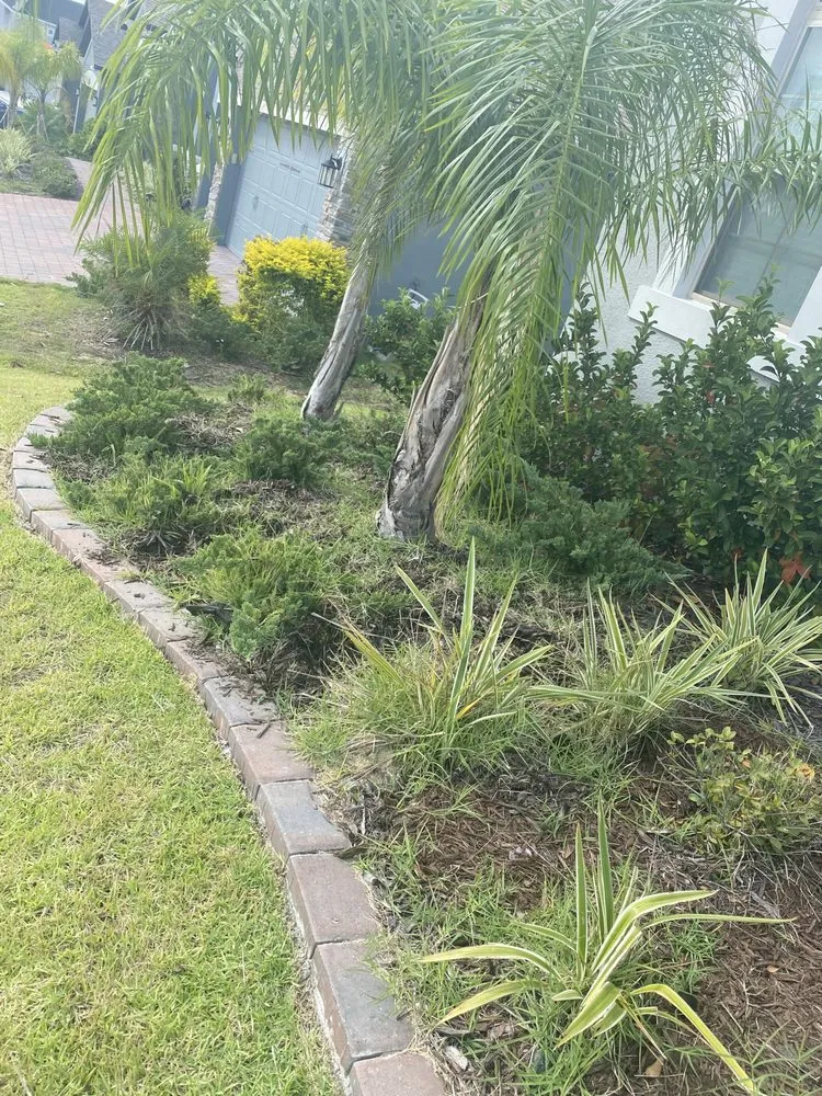 Affordable landscape design with custom design across Davenport, FL - Jr Professional Landscaping And Tree Service