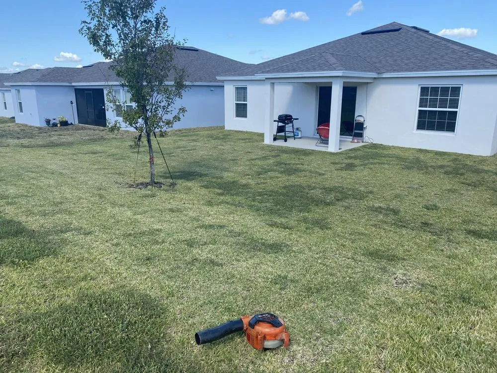 Reliable outdoor landscaping for outdoor upgrades across Davenport, FL - Jr Professional Landscaping And Tree Service