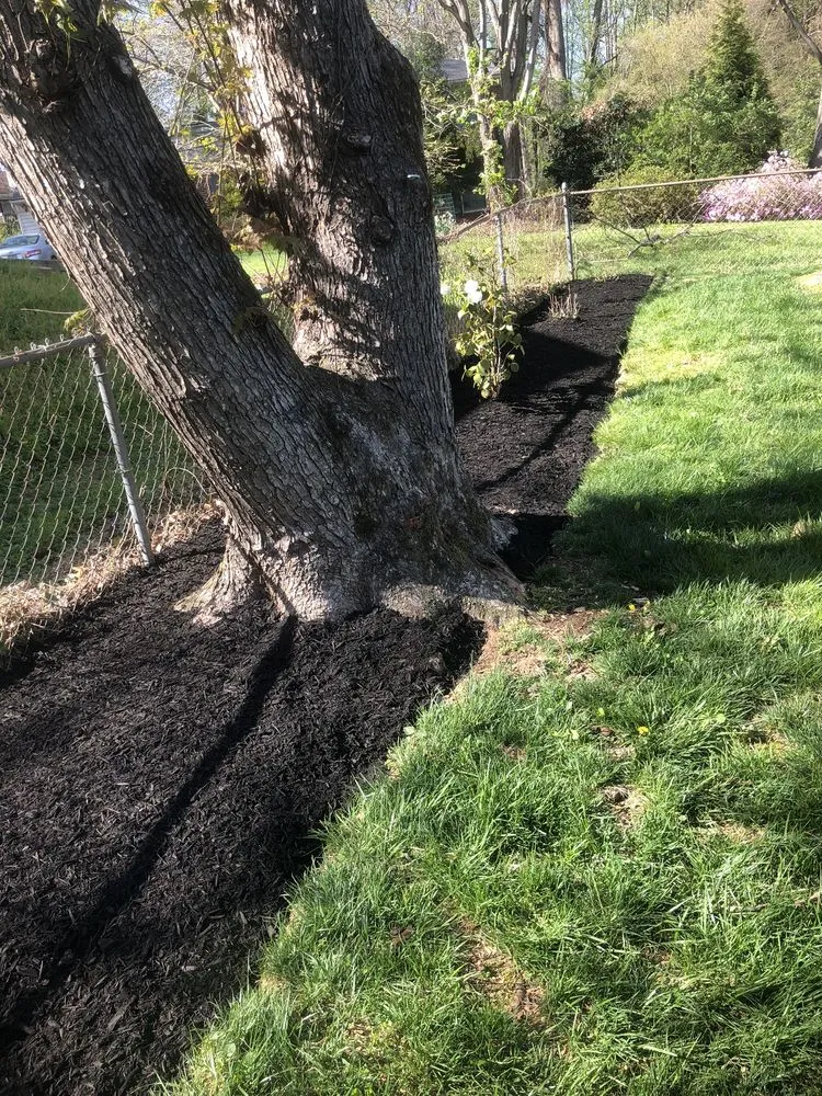 Top-rated landscape installation experts serving Arlington, VA - JR Professional Landscaping