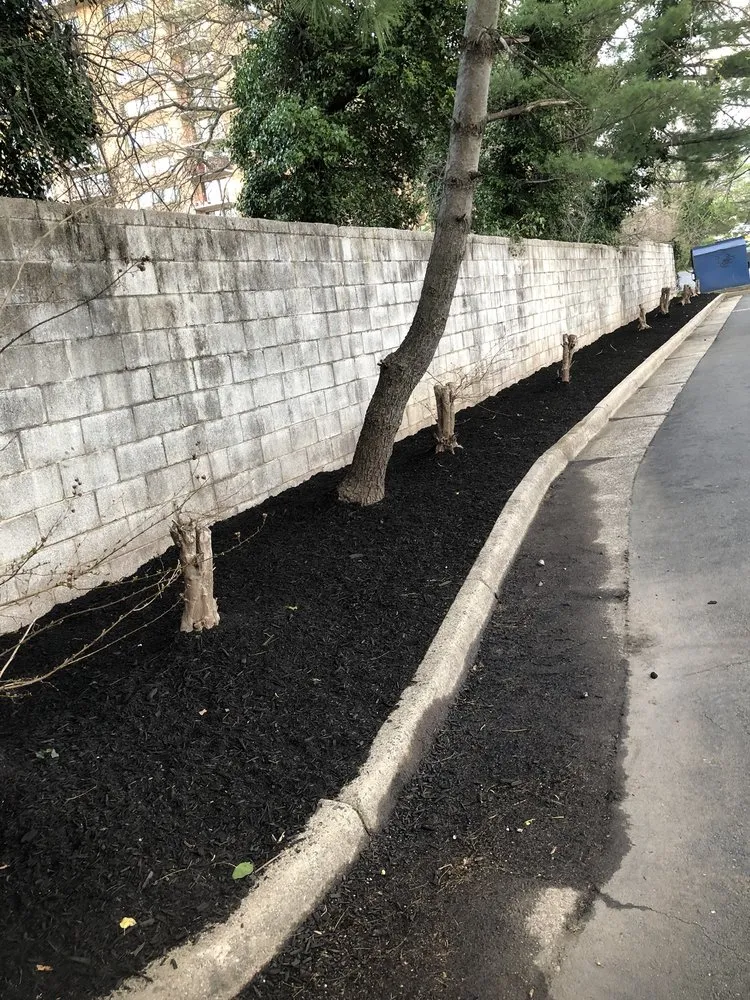 Reliable garden landscaping near you in Arlington, VA by JR Professional Landscaping