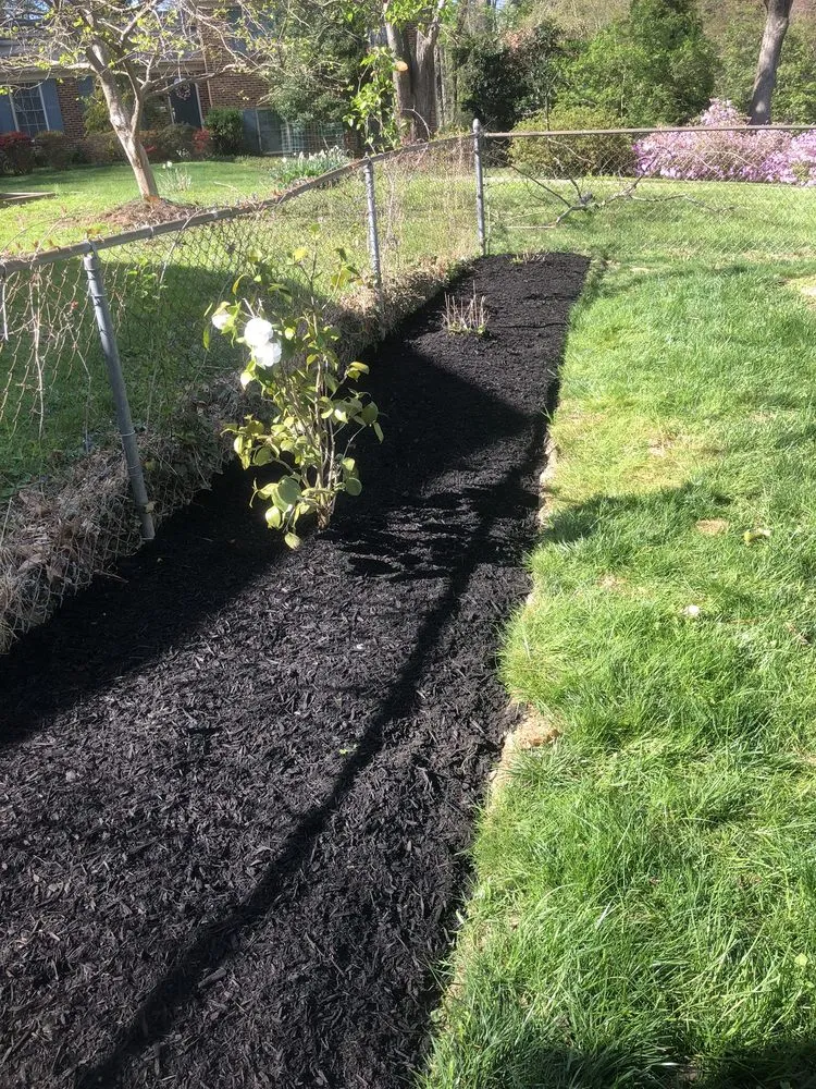 Reliable lawn mowing service in Arlington, VA - JR Professional Landscaping