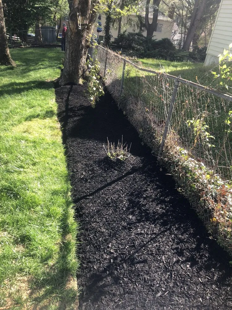 Top-rated yard cleanup service in Arlington, VA - JR Professional Landscaping