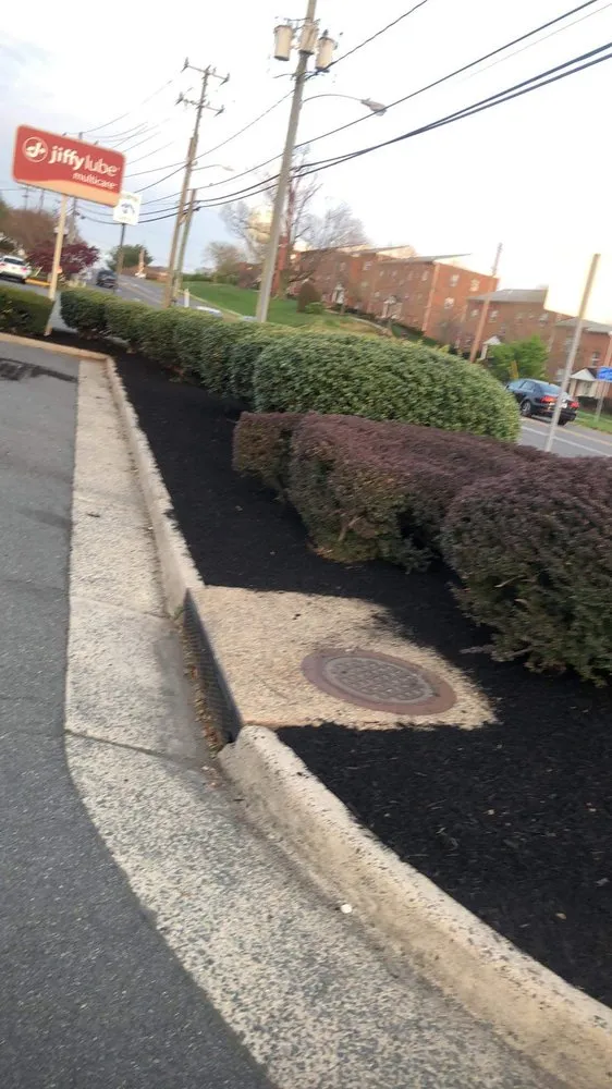 Reliable landscaping services in Arlington, VA - JR Professional Landscaping