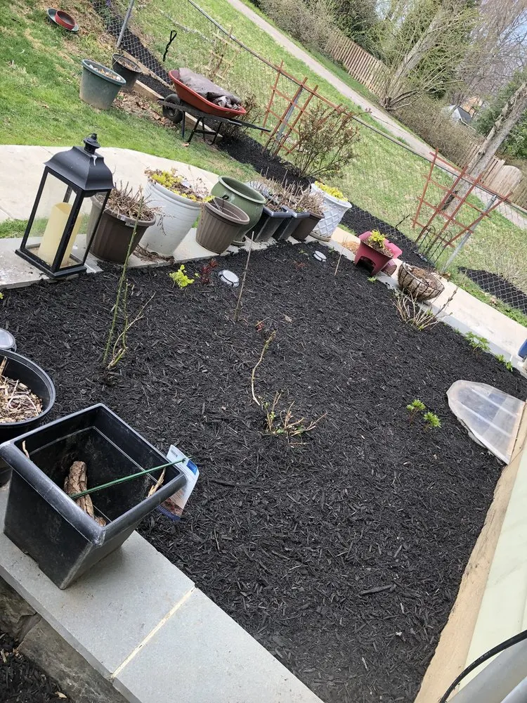 Custom lawn care service in Arlington, VA - JR Professional Landscaping