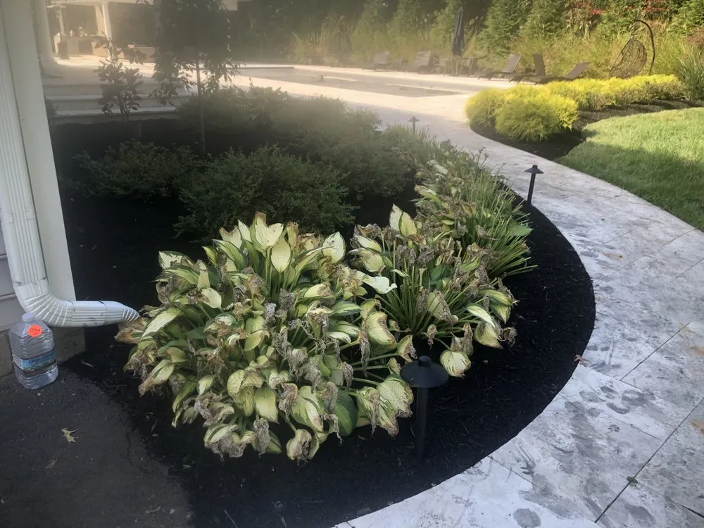 Trusted lawn care service in Arlington, VA by JR Professional Landscaping