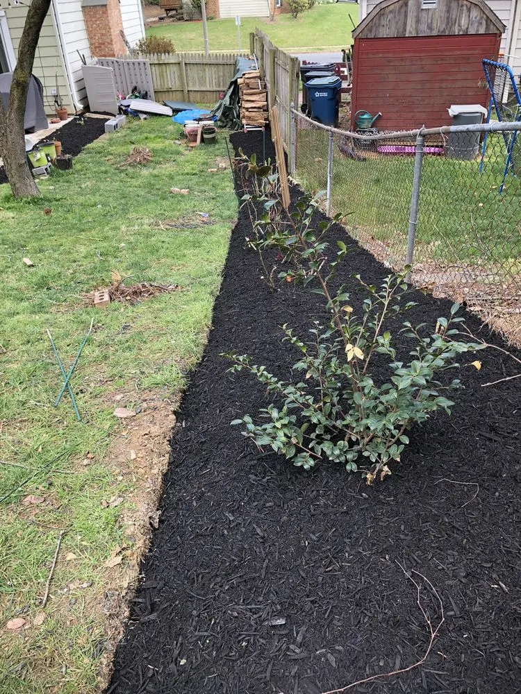 Top-rated landscape design in Arlington, VA by JR Professional Landscaping