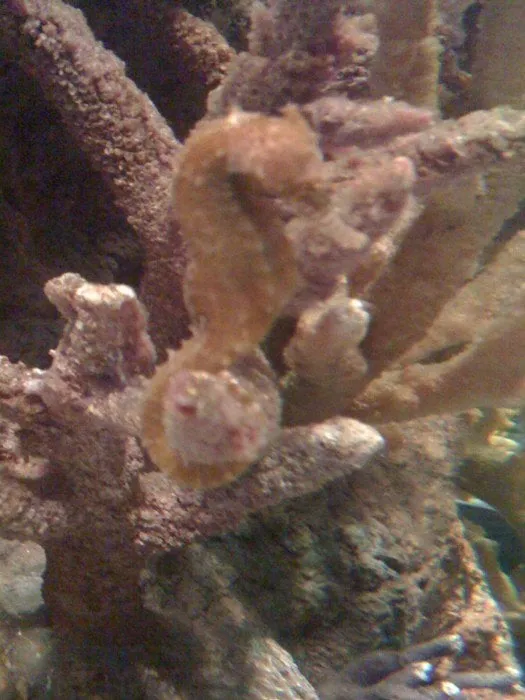 Trusted garden landscaping experts serving Galway, NY - J&R Property Maintenance