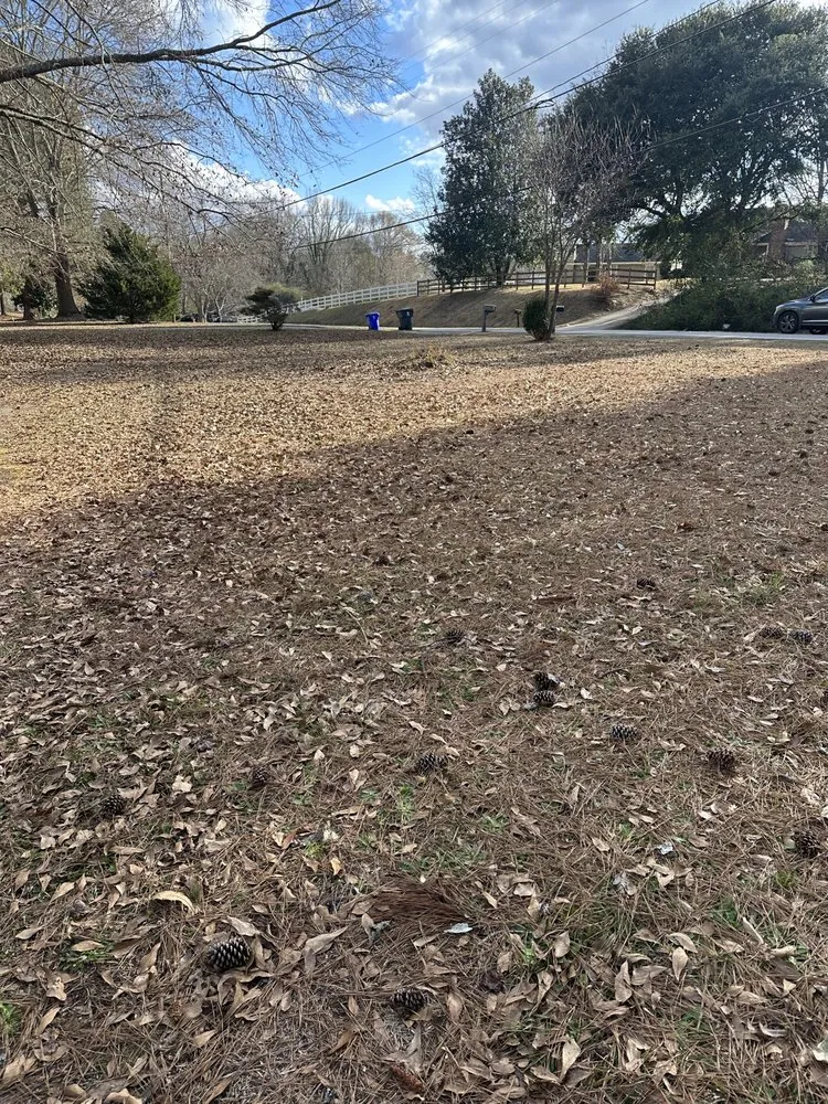 Local landscape installation in Newnan, GA by JR Property Maintenance