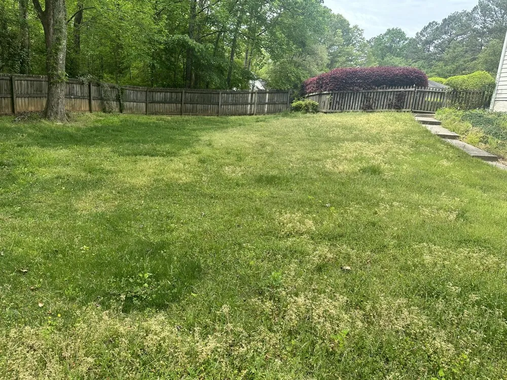 Top-rated lawn care service experts serving Newnan, GA - JR Property Maintenance