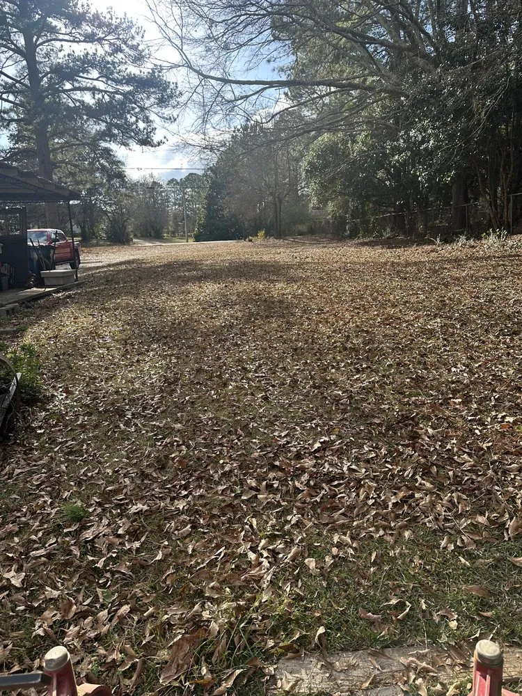 Professional yard maintenance in Newnan, GA by JR Property Maintenance