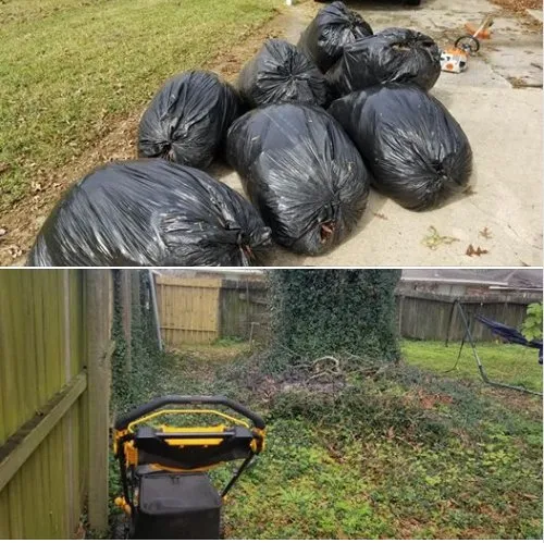 Expert lawn mowing service for year-round maintenance across PASADENA, TX - JR RODRIGUEZ LAWN CARE