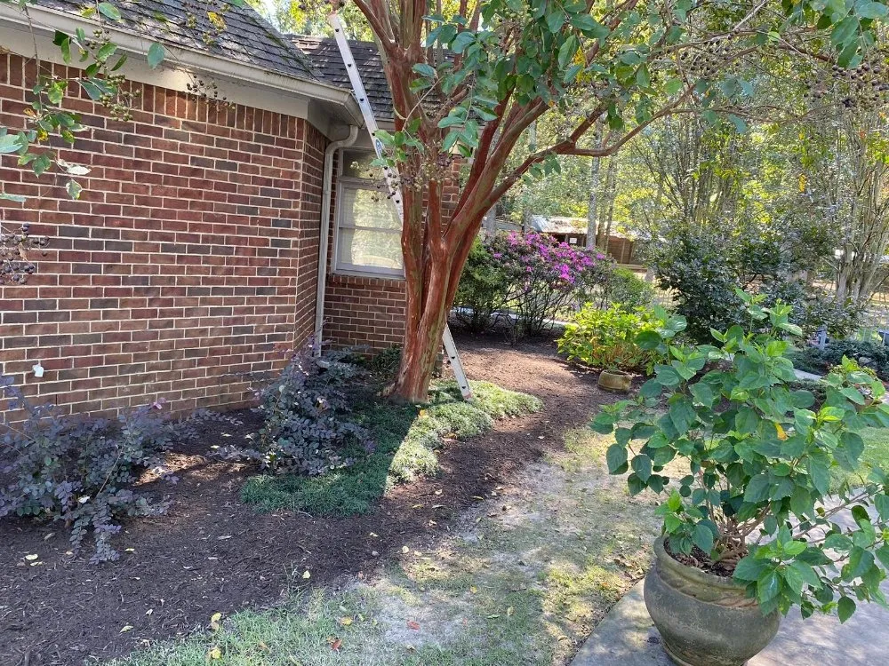 Trusted residential landscaping in Memphis, TN - JR Rosales Landscape