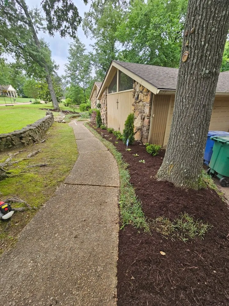Expert yard cleanup service experts serving Memphis, TN - JR Rosales Landscape