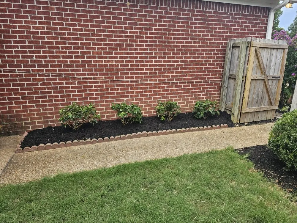 Local yard maintenance for year-round maintenance in Memphis, TN by JR Rosales Landscape