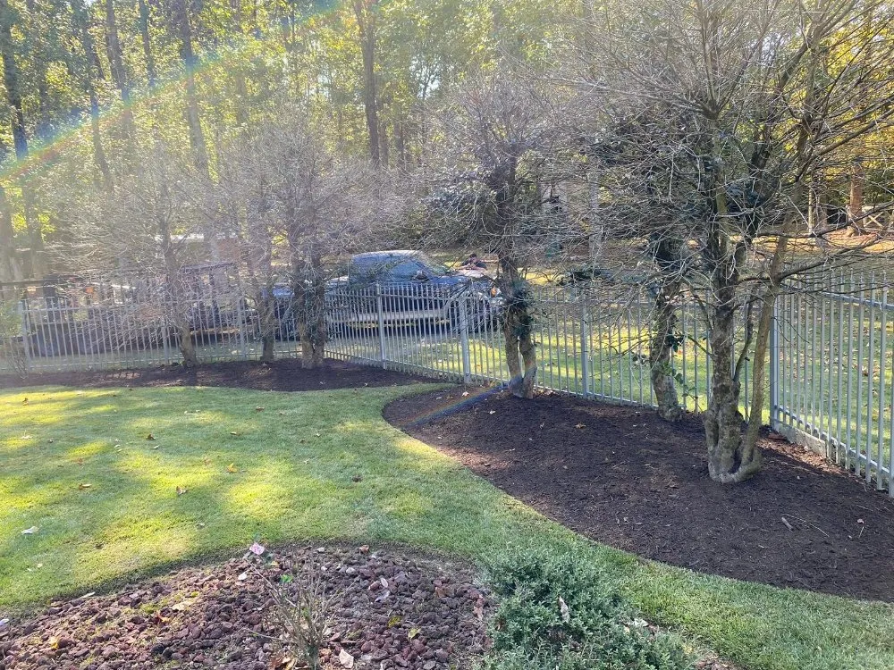 Custom lawn care service experts serving Memphis, TN - JR Rosales Landscape