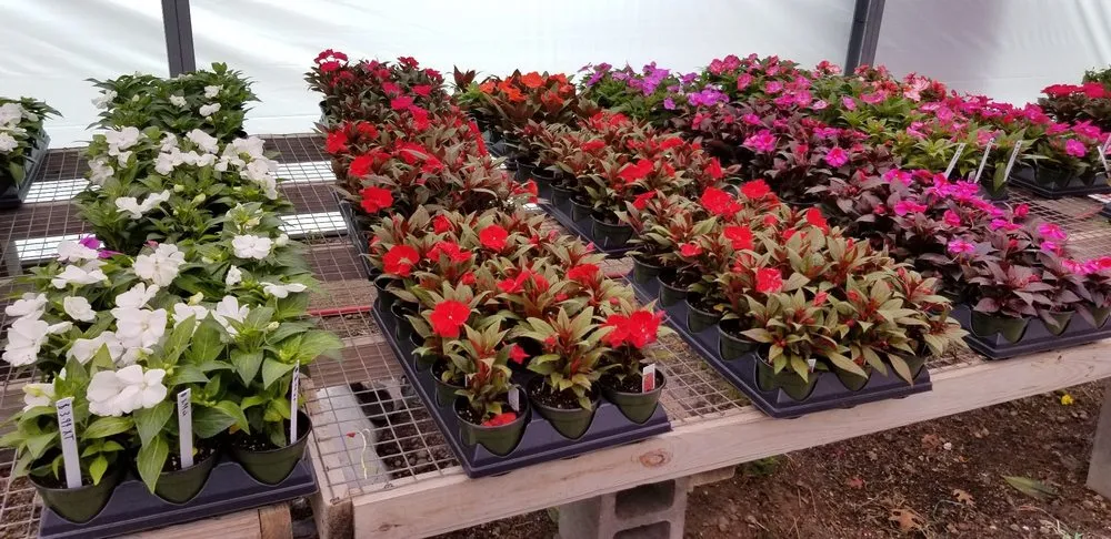 Reliable yard maintenance experts serving Central Islip, NY - JR Rubi Tree Services