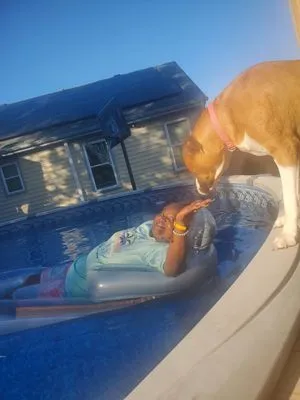 JR Services & Sales Logo