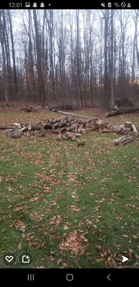 Reliable yard cleanup service experts serving Ashland, OH - J&R Services