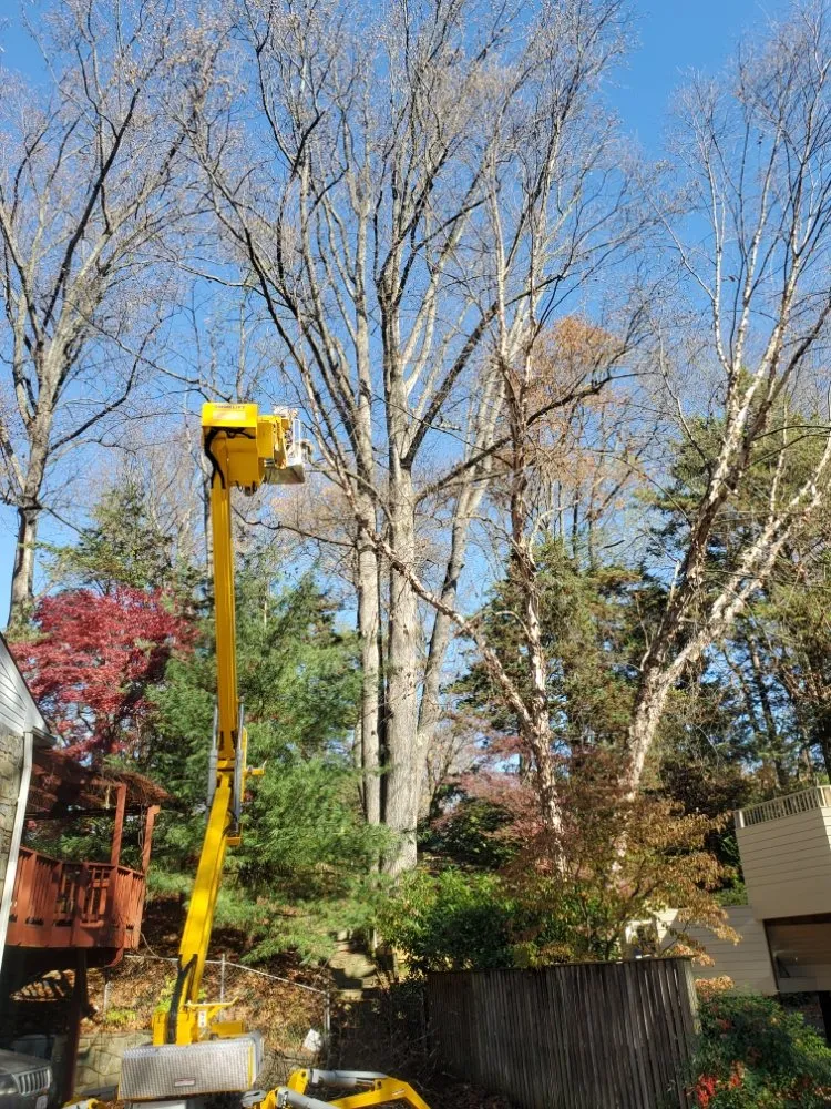 Professional residential landscaping experts serving Haywood, VA - JR Sisk Tree & Landscaping Expert
