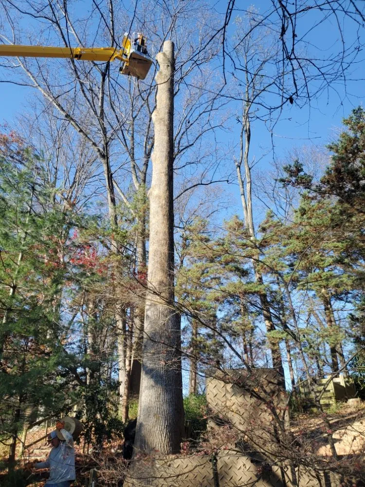 Local garden landscaping in Haywood, VA by JR Sisk Tree & Landscaping Expert