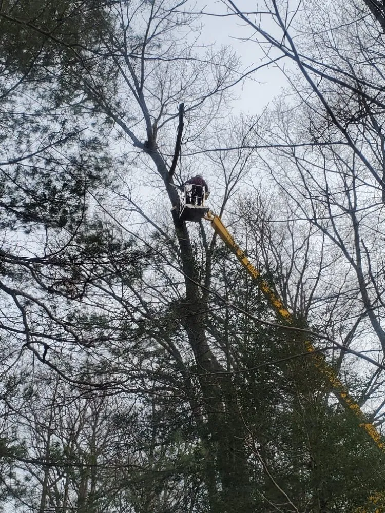 Custom lawn care service with custom design in Haywood, VA by JR Sisk Tree & Landscaping Expert