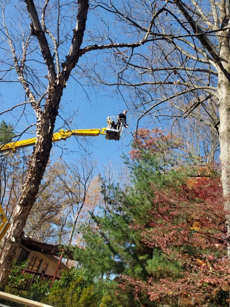 Reliable outdoor landscaping experts serving Haywood, VA - JR Sisk Tree & Landscaping Expert