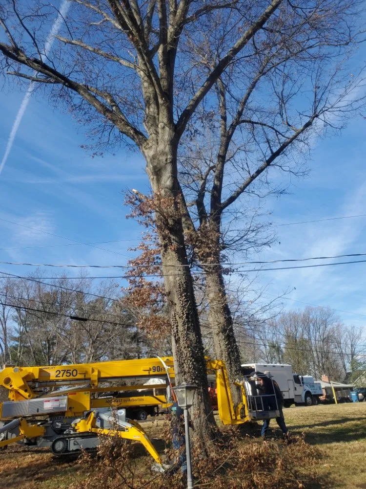 Trusted garden landscaping experts serving Haywood, VA - JR Sisk Tree & Landscaping Expert