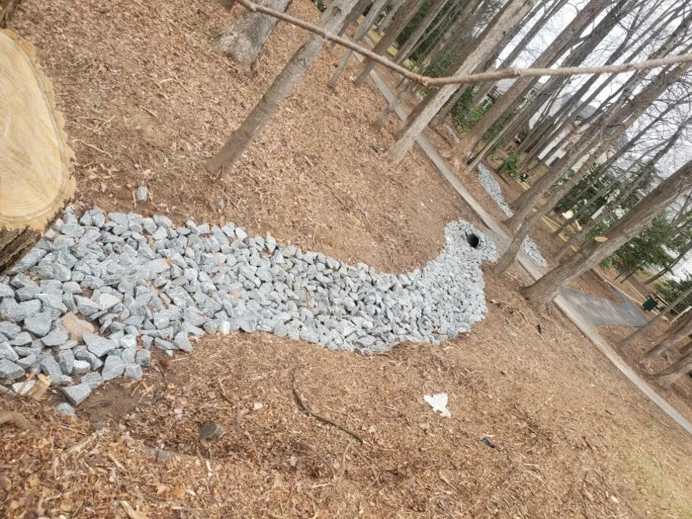 Trusted yard maintenance experts serving Haywood, VA - JR Sisk Tree & Landscaping Expert