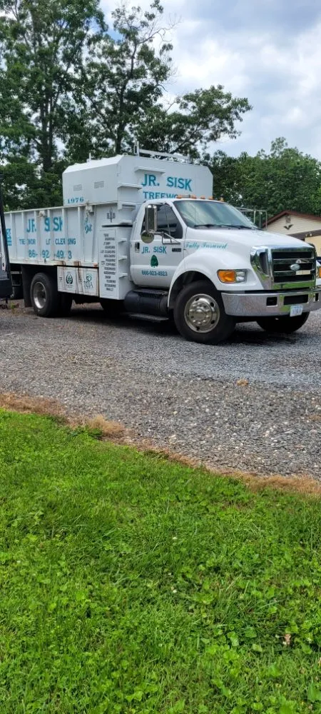 Expert yard maintenance experts serving Haywood, VA - JR Sisk Tree & Landscaping Expert