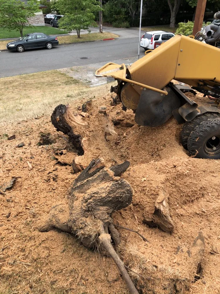 Custom lawn mowing service in Tacoma, WA by JR Stump Grinding