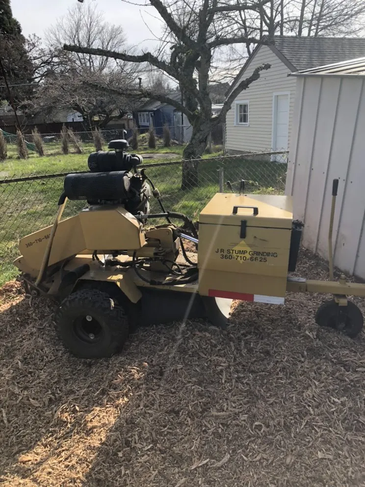 Top-rated yard maintenance for outdoor upgrades in Tacoma, WA by JR Stump Grinding
