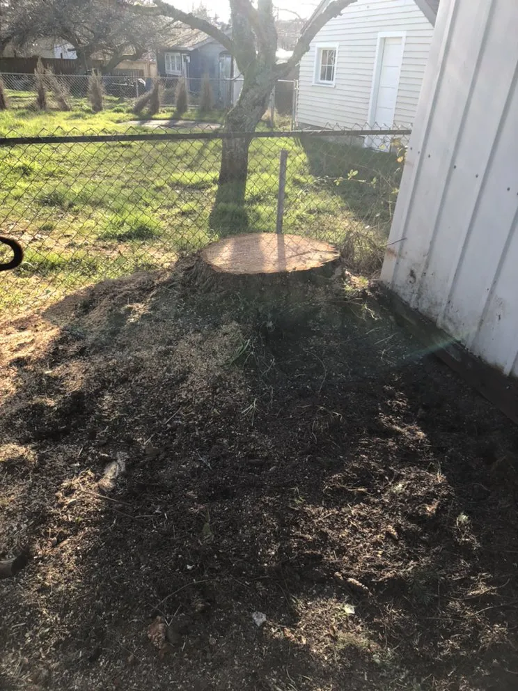 Custom outdoor landscaping in Tacoma, WA by JR Stump Grinding