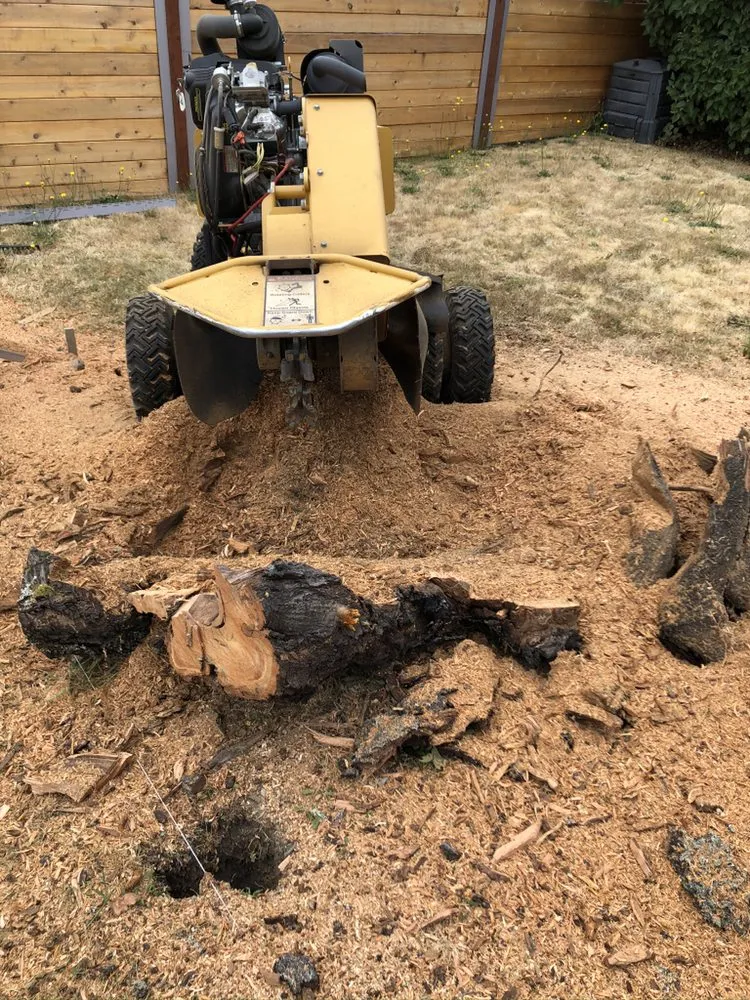 Top-rated yard maintenance experts serving Tacoma, WA - JR Stump Grinding