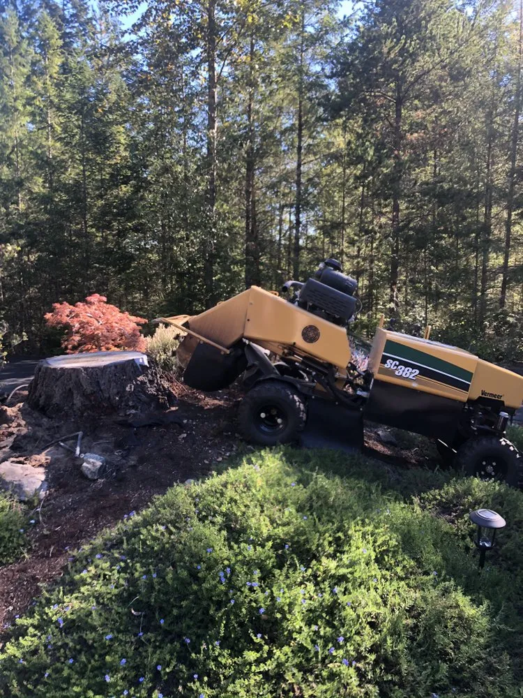 Expert outdoor landscaping for beautiful yards in Tacoma, WA by JR Stump Grinding