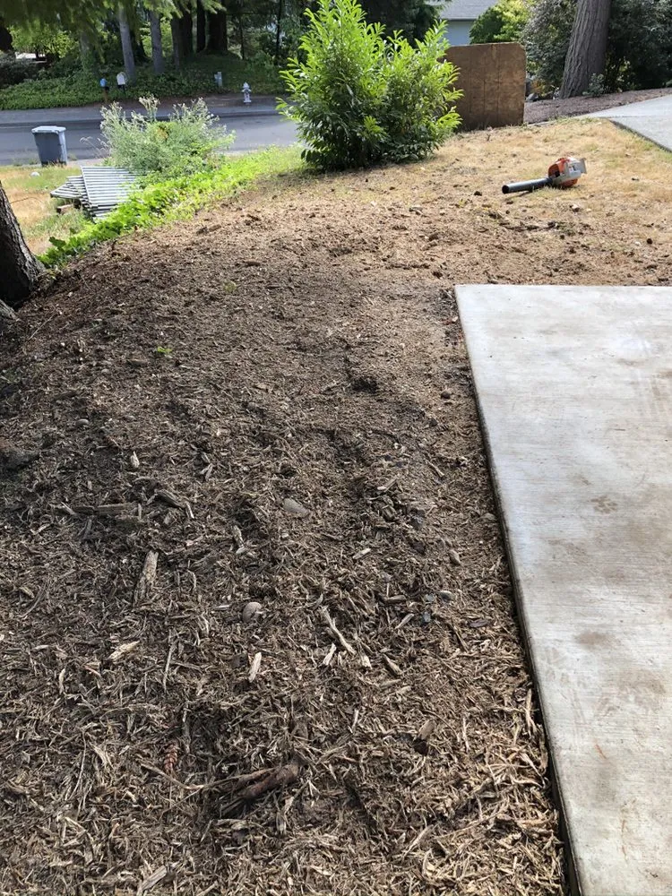 Local landscaping services experts serving Tacoma, WA - JR Stump Grinding