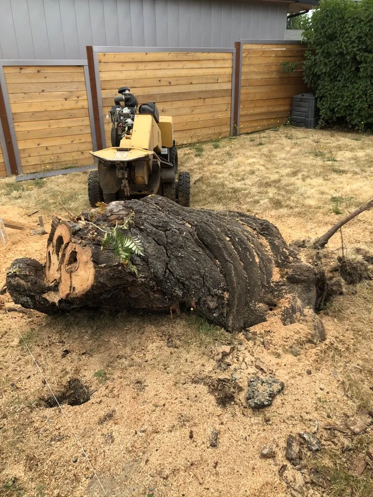 Reliable landscape design in Tacoma, WA - JR Stump Grinding