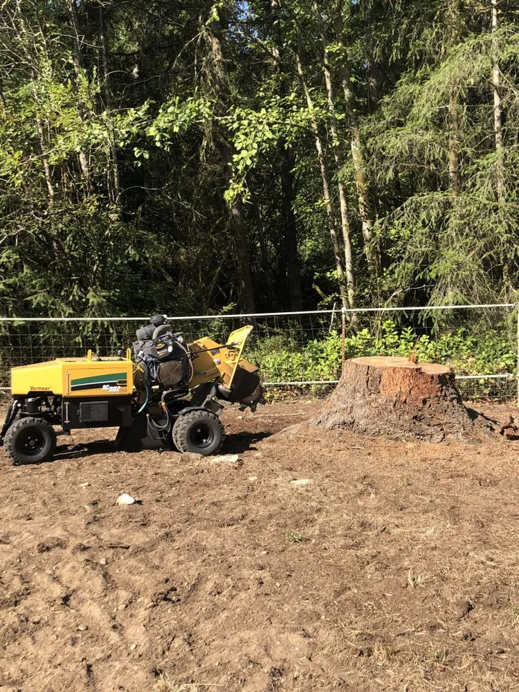 Affordable yard maintenance in Tacoma, WA by JR Stump Grinding