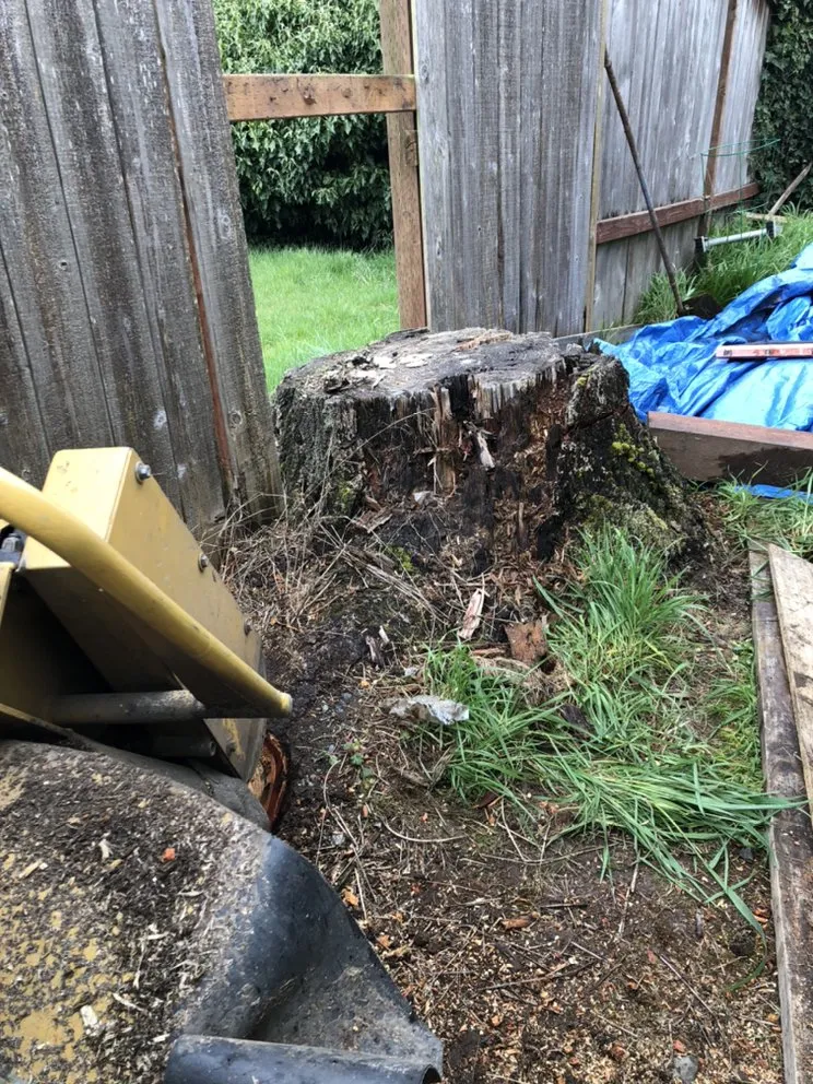 Expert outdoor landscaping for year-round maintenance in Tacoma, WA by JR Stump Grinding