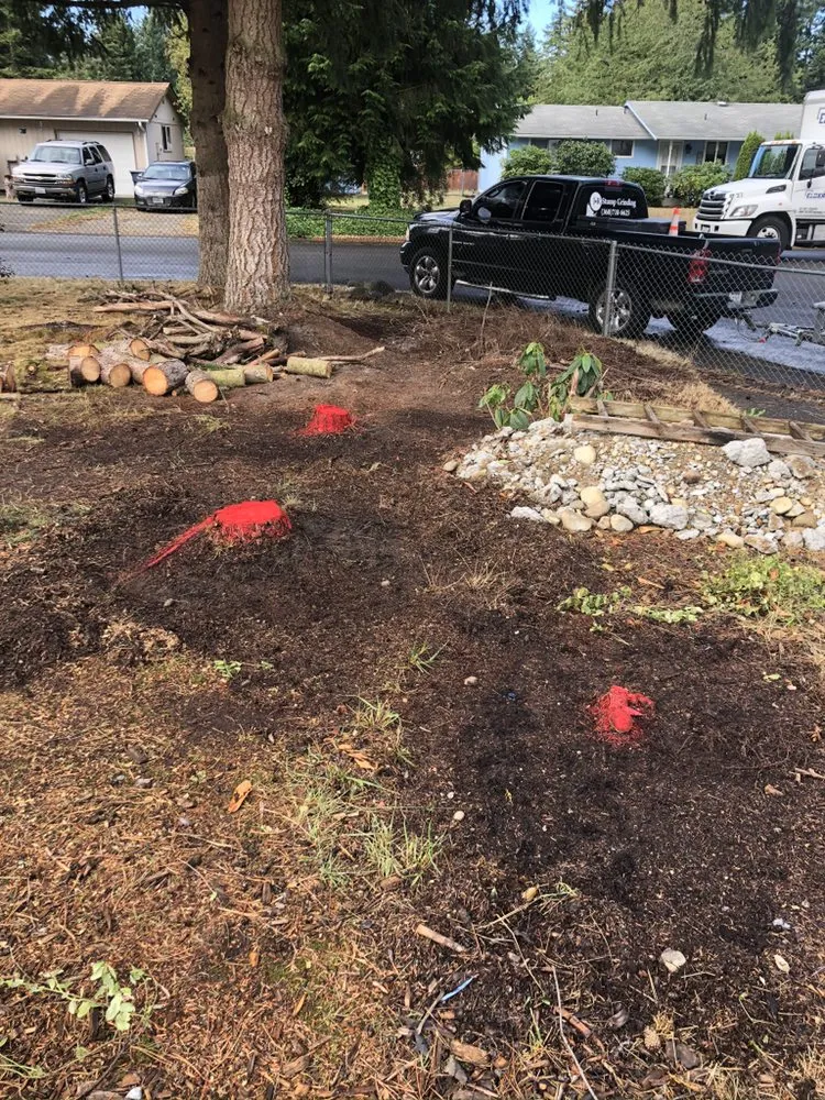 Expert yard cleanup service with custom design in Tacoma, WA by JR Stump Grinding