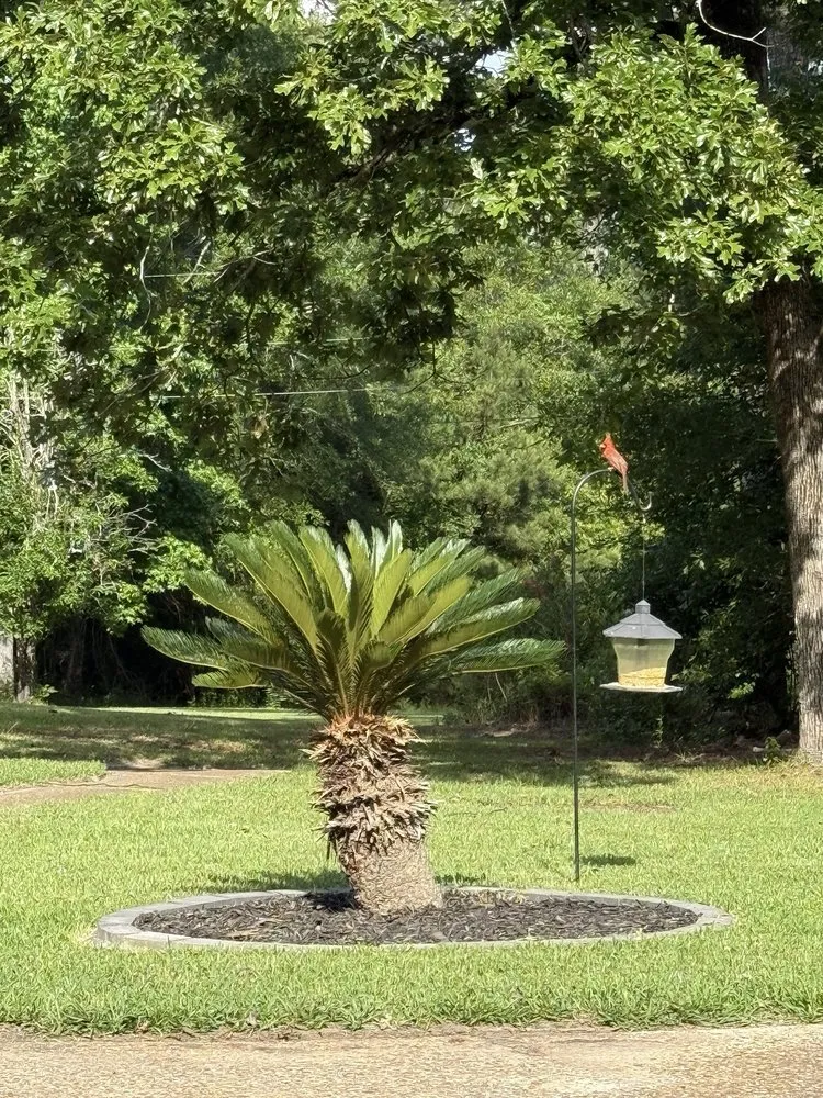 Trusted residential landscaping experts serving Leesville, LA - JR Surface Solutions