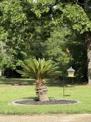 JR Surface Solutions Logo