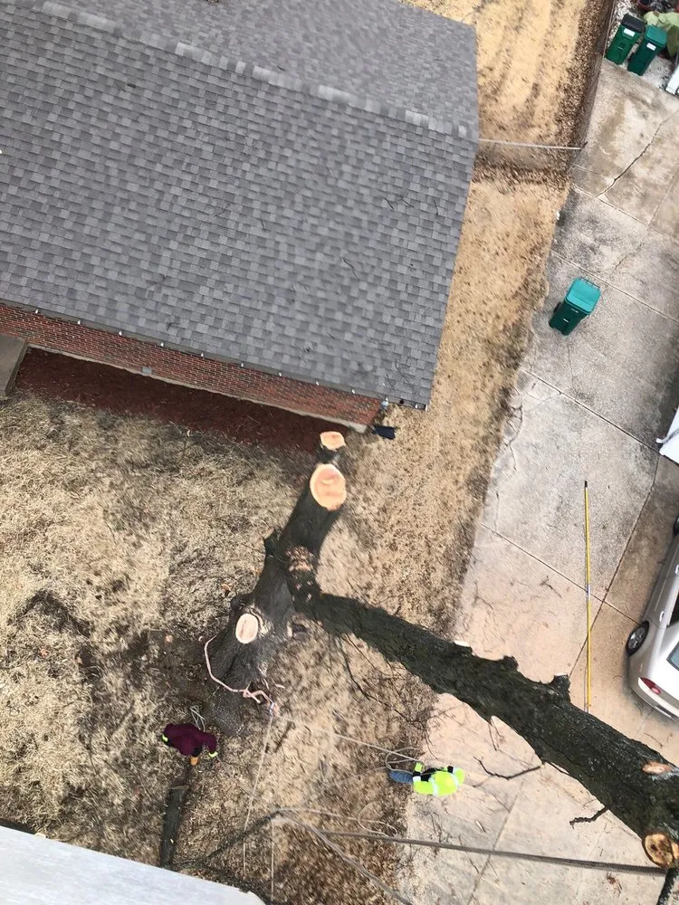 Local outdoor landscaping for year-round maintenance in Florissant, MO by JR Tree and Lawn Care