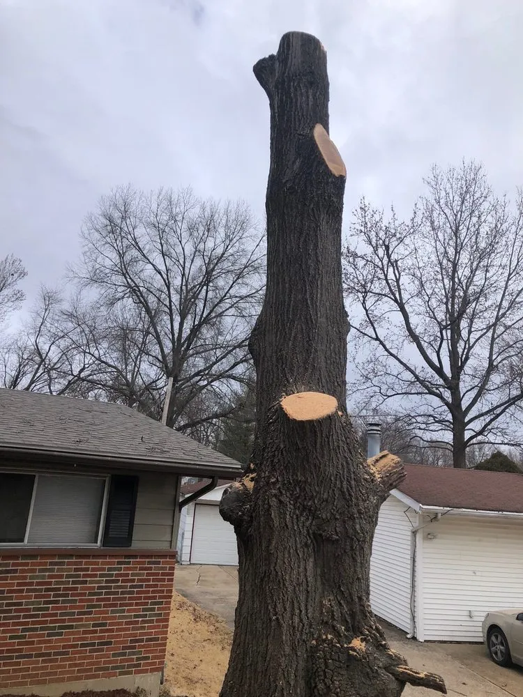 Local landscaping services for homes across Florissant, MO - JR Tree and Lawn Care