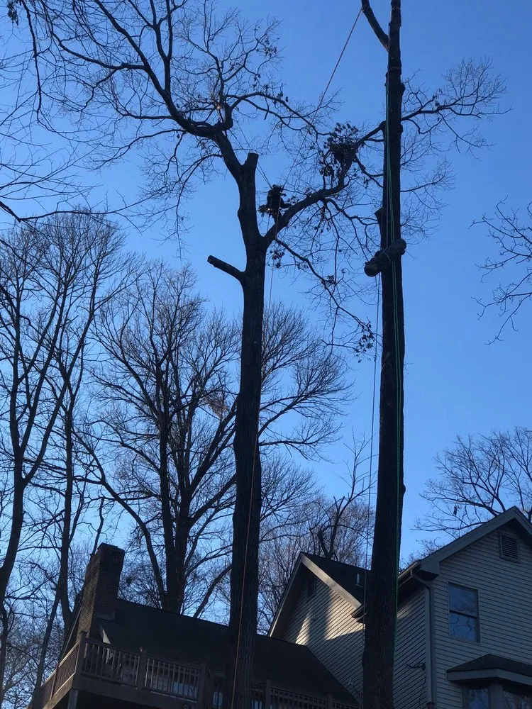 Custom yard cleanup service for beautiful yards across Florissant, MO - JR Tree and Lawn Care