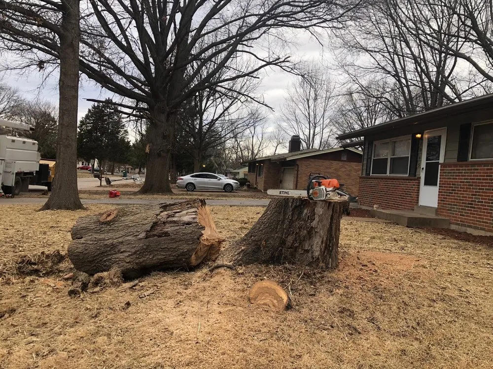 Reliable yard cleanup service for residential properties in Florissant, MO by JR Tree and Lawn Care