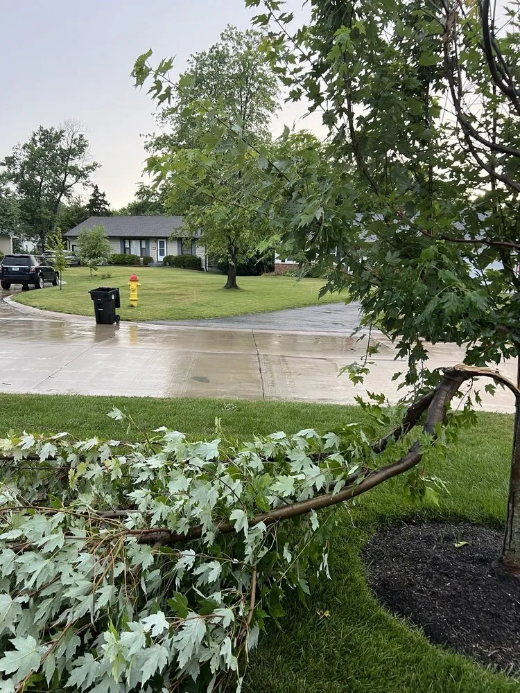 Professional residential landscaping experts serving Florissant, MO - JR Tree and Lawn Care