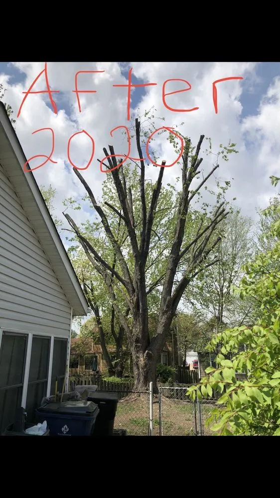 Expert lawn mowing service for homes in Florissant, MO by JR Tree and Lawn Care