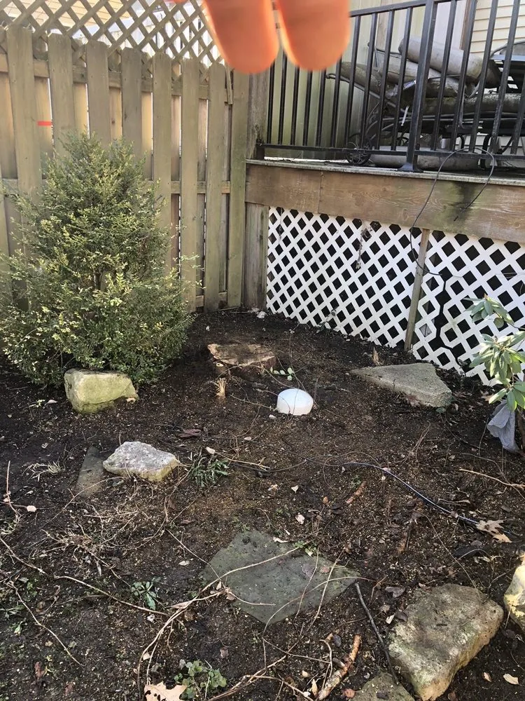 Top-rated residential landscaping for beautiful yards across Florissant, MO - JR Tree and Lawn Care